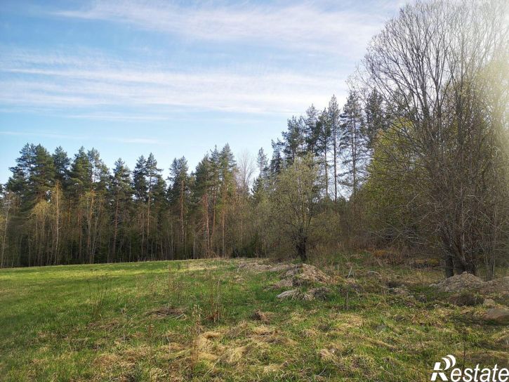 Земельный участок