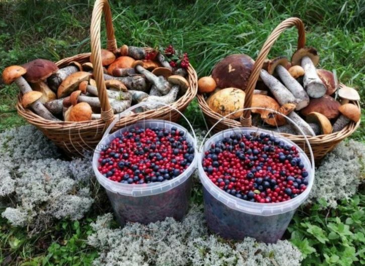 Земельный участок Сортавала